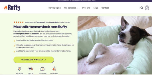 CRO Case Study: Ruffy AB Test Results Boost Conversions by 35.5%